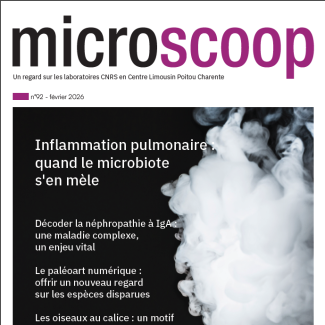 Couverture du magazine Microscoop 92 avec en image une personne prise dans un nuage de fumée.