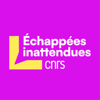 Logo échappées inattendues CNRS
